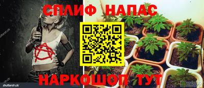 амфетамин Камышлов