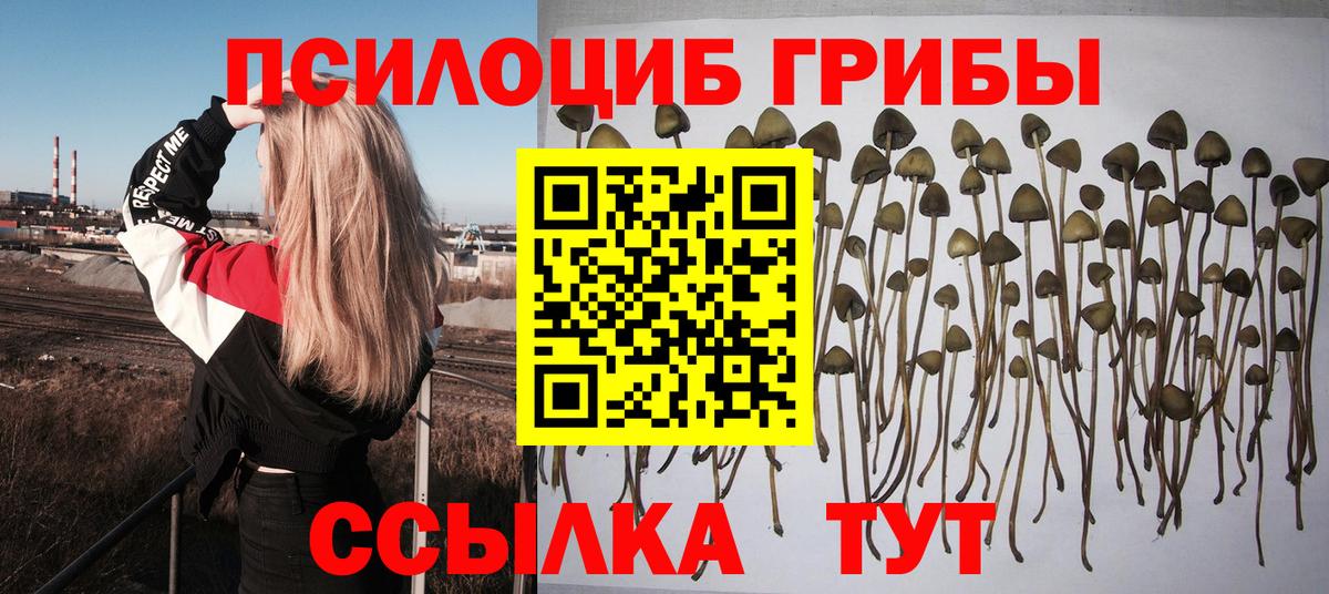 Галлюциногенные грибы MAGIC MUSHROOMS Буйнакск