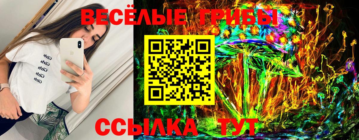 Буйнакск  Псилоцибиновые грибы GOLDEN TEACHER  Вход с VPN  Галлюциногенные грибы GOLDEN TEACHER 
